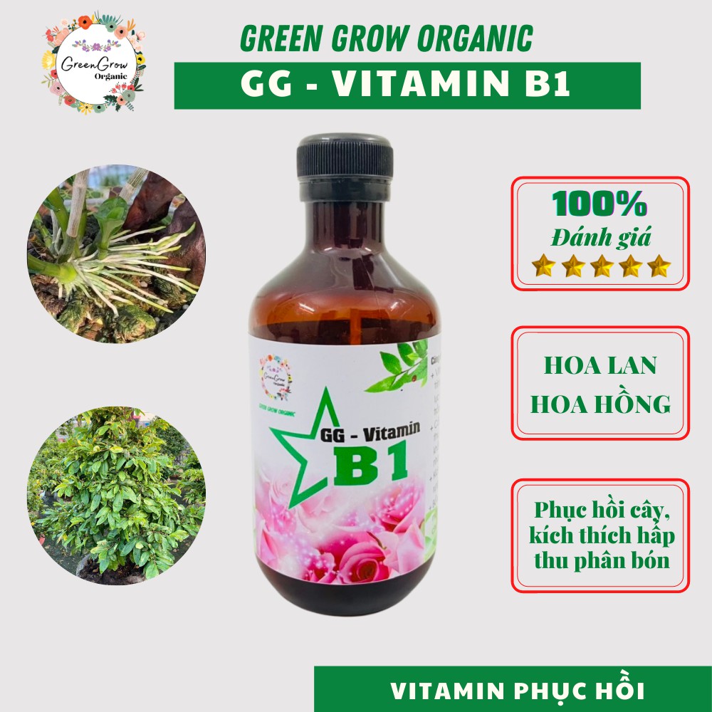 Phân bón lá Vitamin B1 Green Grow Organic giúp kích rễ cho hoa Hồng hoa Lan phục hồi cây suy yếu MS151