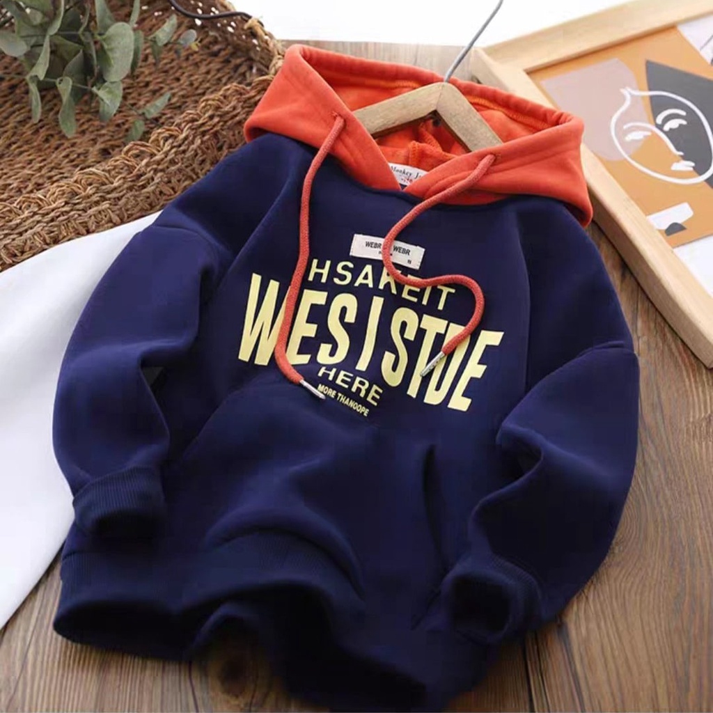 Áo khoác nỉ hoodie trẻ em thu đông dày dặn siêu yêu cho bé trai bé gái 6-65kg WESISTDE