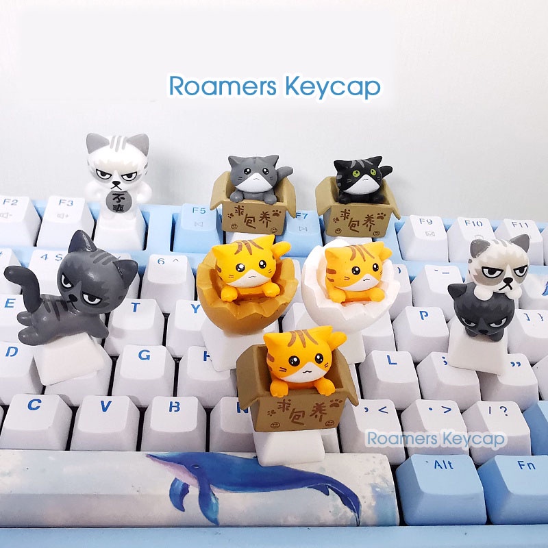 Keycap lẻ mèo giận hờn ngầu R4 PBT (0010_CH)