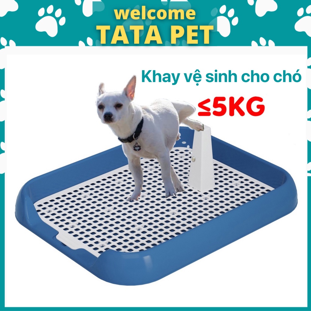 Khay vệ sinh cho chó cái đực nhỏ thành thấp