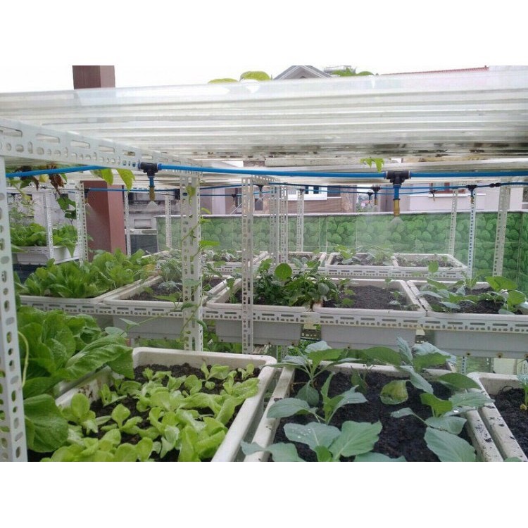 Béc phun sương tưới lan 1 hướng đồng kèm chân tê 8mm