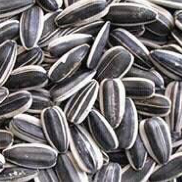 0.5 kg hạt hướng dương loại 1 ( gia long )