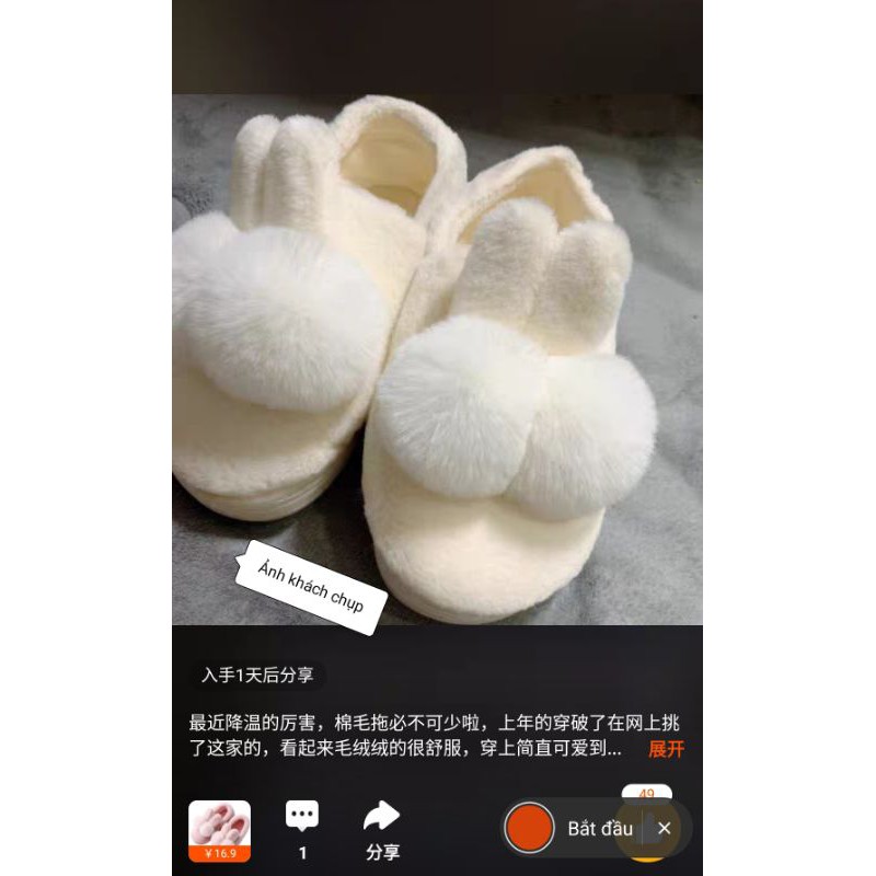 DÉP LÔNG ĐI TRONG NHÀ