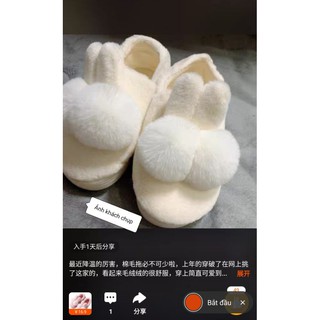 [Order ] DÉP LÔNG ĐI TRONG NHÀ