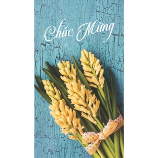 Thiệp chúc mừng siêu đẹp (Set 10)