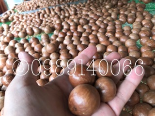 Hat macca sấy
