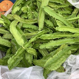 10gr - HẠT GIỐNG ĐẬU RỒNG