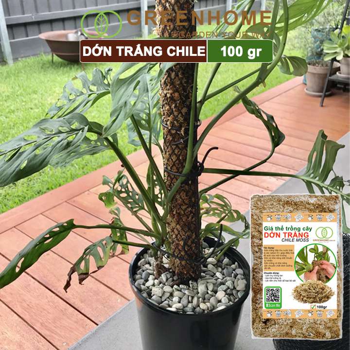 Giá thể dớn trắng Greenhome, gói 100gr, đã qua xử lý, giữ ẩm tốt, kháng khuẩn tự nhiên, trồng lan, kiểng lá