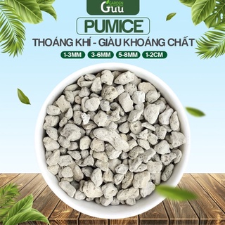 Đá Bọt Pumice Indonesia Trộn Đất Trồng Sen Đá Xương Rồng Cây Lan Đá Núi