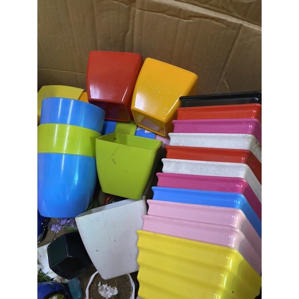 chậu nhựa trồng cây cảnh mini, cắm hoa xinh đủ loại