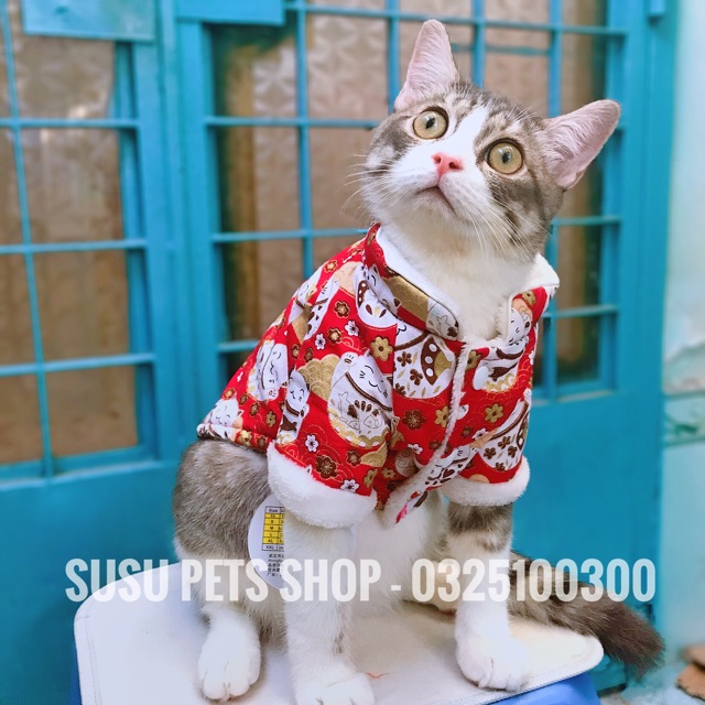 ĐỒ TẾT CHO CHÓ MÈO - ÁO TẾT THÚ CƯNG HÌNH MÈO THẦN TÀI 2021