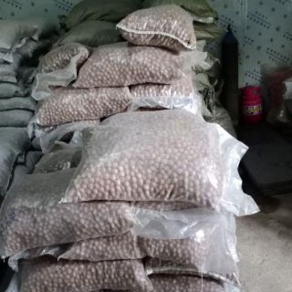 Hạt Óc Chó 500g