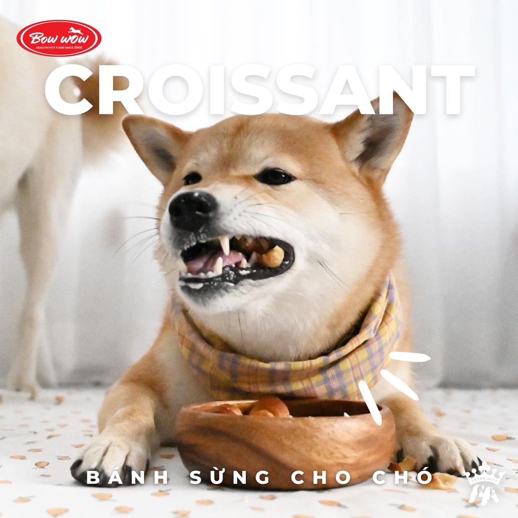 [100g] Bánh sừng bò Bowwow Bakery Croissant cho chó