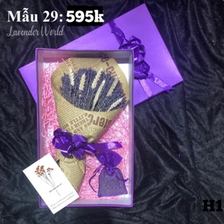 Set quà hoa lavender khô Pháp - Mẫu 29