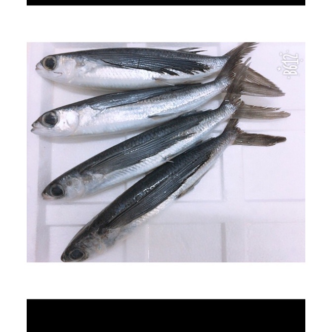 Cá chuồn mít khô . Siêu ngon. 500gr