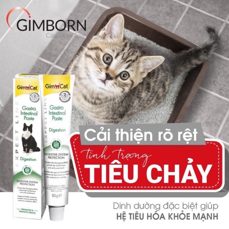Gel Hỗ Trợ Hệ Tiêu Hoá Cho Mèo Gimcat – Gimcat Gastrointestinal Paste 50g
