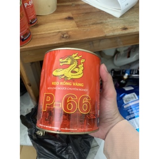 Keo rồng vàng P66