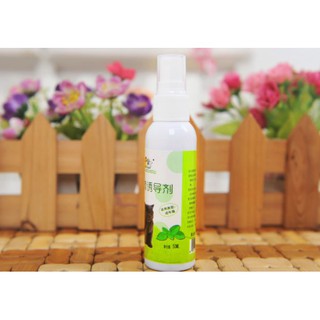 CATNIP CHO MÈO DẠNG XỊT