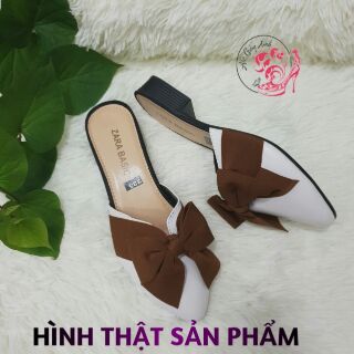 DÉP SỤC NƠ TO