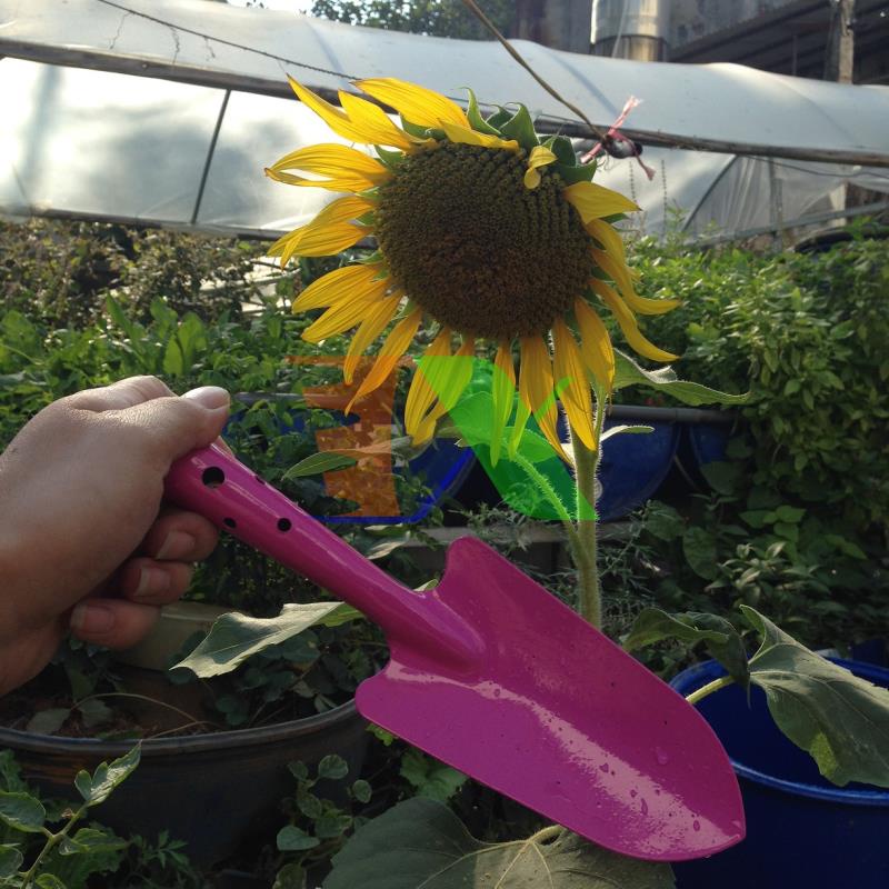 Xẻng làm vườn mini TXE-02, Xẻng cầm tay mini, Xẻng trồng cây, Xẻng cho bé