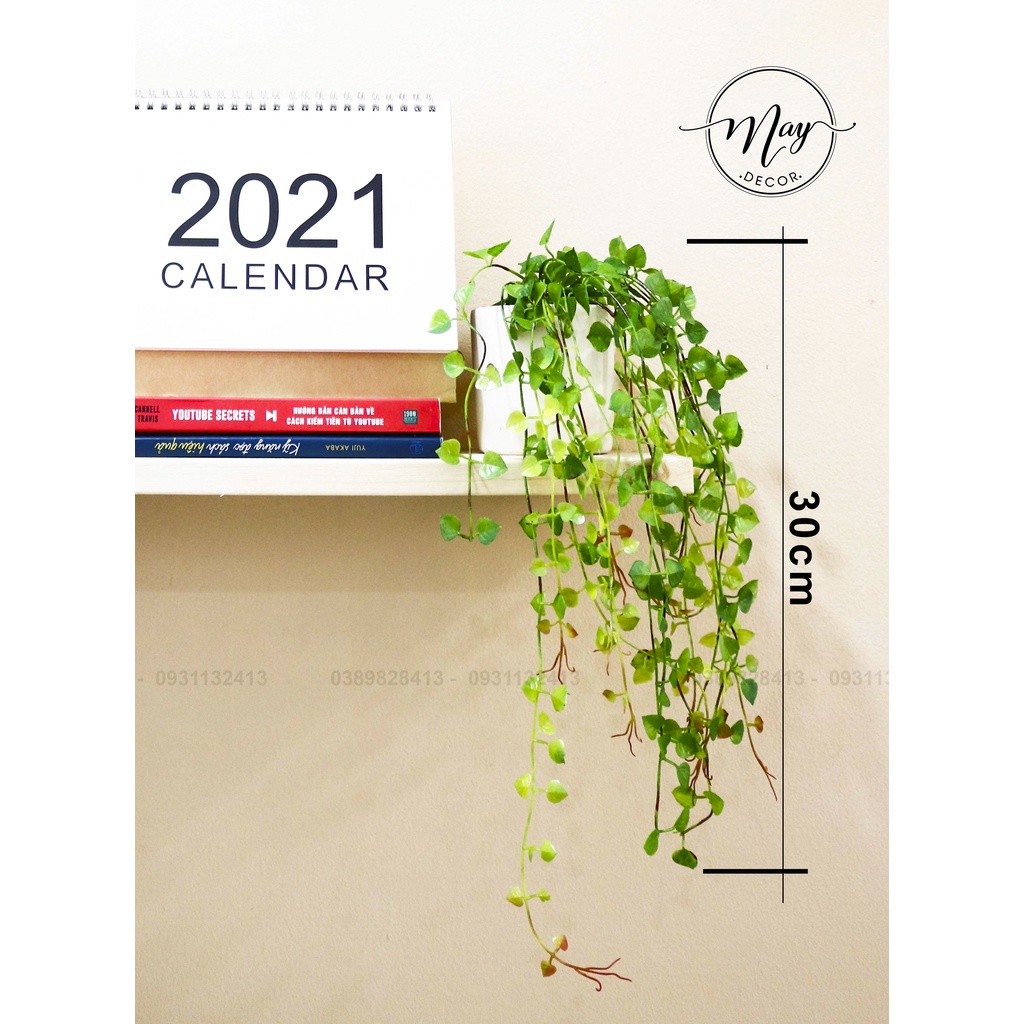 Cây giả, Chậu rũ lá dài 30cm, 55cm