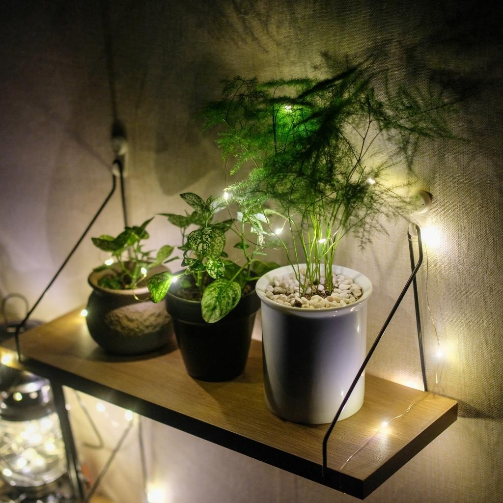 Kệ gỗ treo tường, trang trí không cần khoan với móc treo thép sơn tĩnh điện dễ dàng lắp đặt
