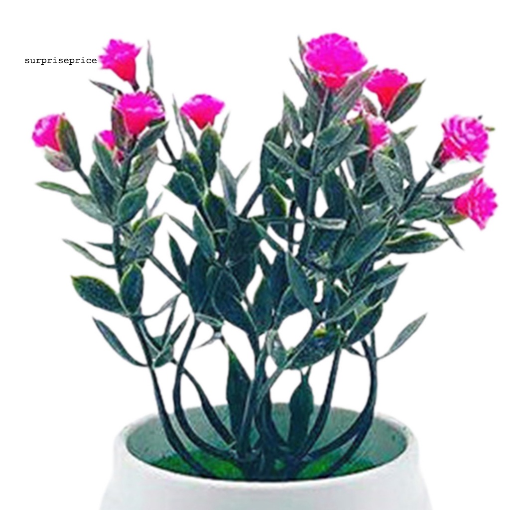 Chậu Cây Bonsai Giả Chống Rơi Dùng Trang Trí Nhà Cửa