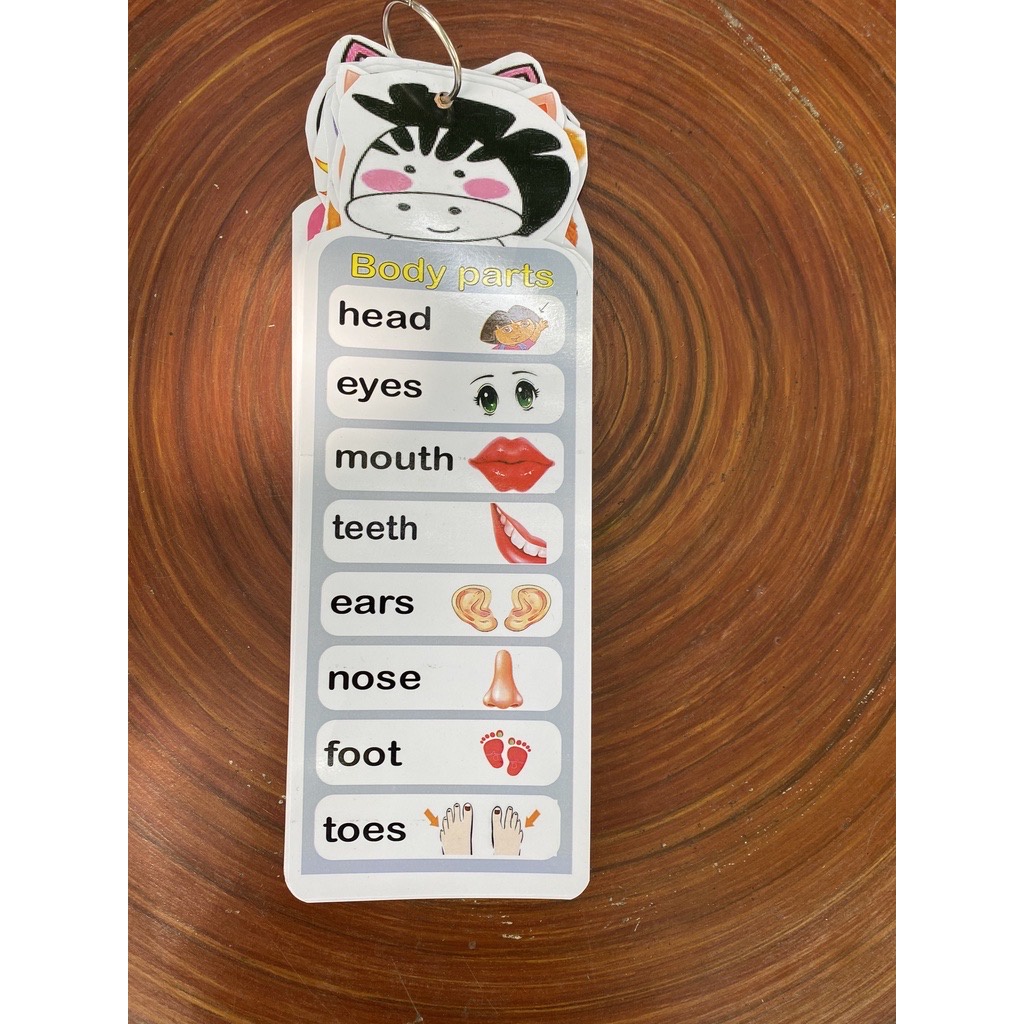 Học Liệu Montessori 12 Chủ Đề