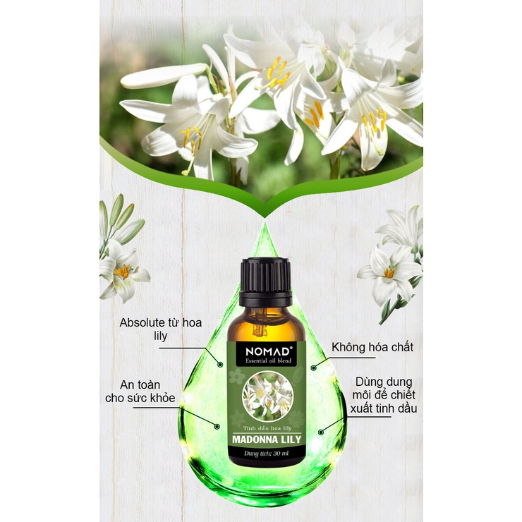 Tinh Dầu Hoa Lily Nomad Essential Oil Blend - Madonna Lily