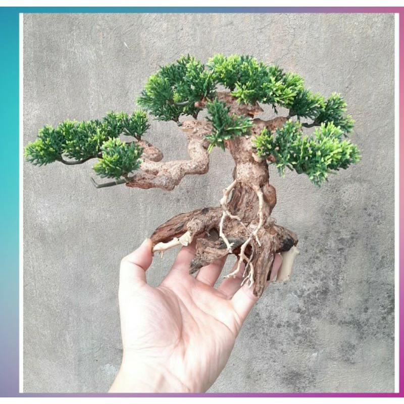  Lũa bonsai ghép cây giả, lũa thủy sinh, trang trí bể thủy sinh