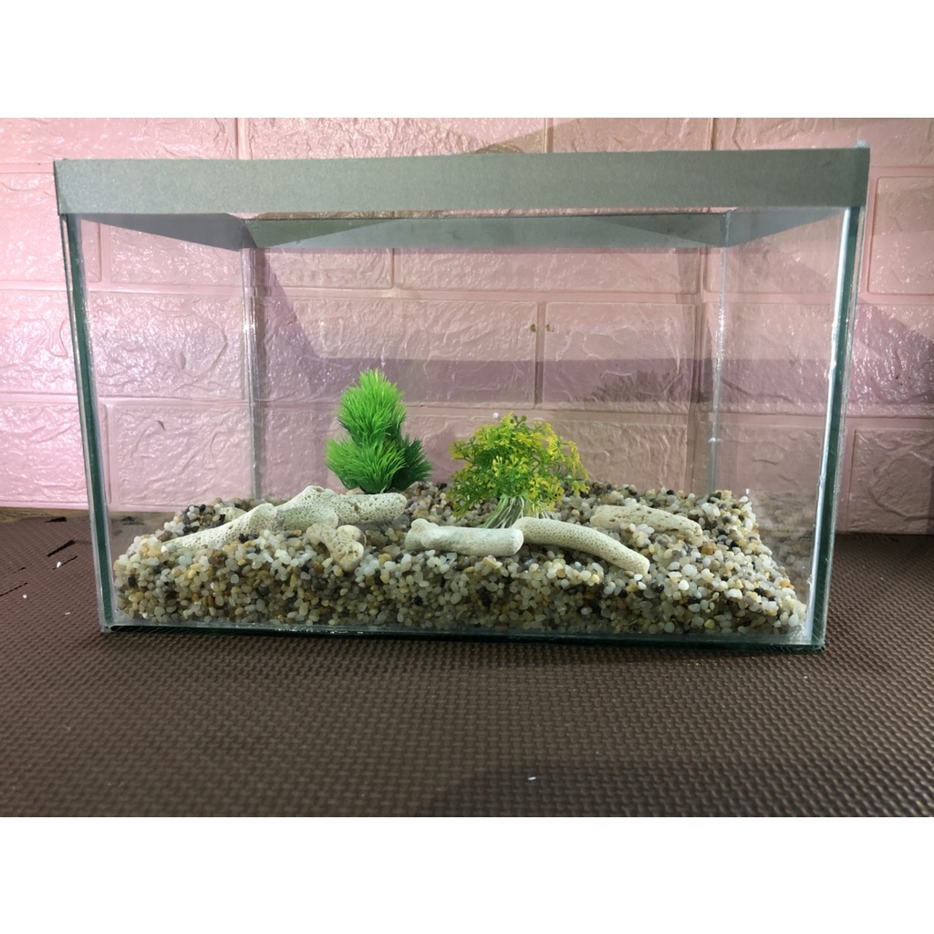 Hồ cá, bể cảnh thủy sinh để bàn (D38XR20XH20), Bể cá,hồ cá thủy sinh TẶNG kèm đá và cây