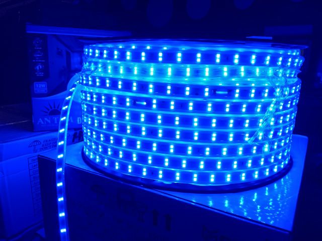 LED DÂY 2835 ánh sáng: vàng, trắng, hồng, xanh dương, xanh lá, đỏ