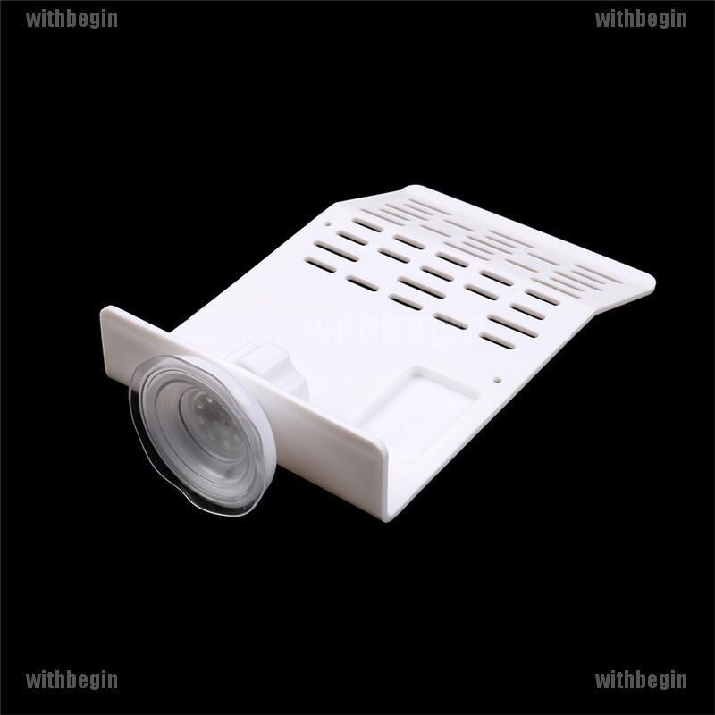 [GIN] Hòn Đảo Hồ Cá / Rùa Leo Trèo