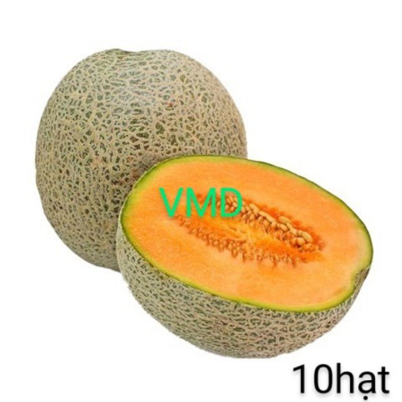 Hạt giống Dưa Lưới Ruột Xanh