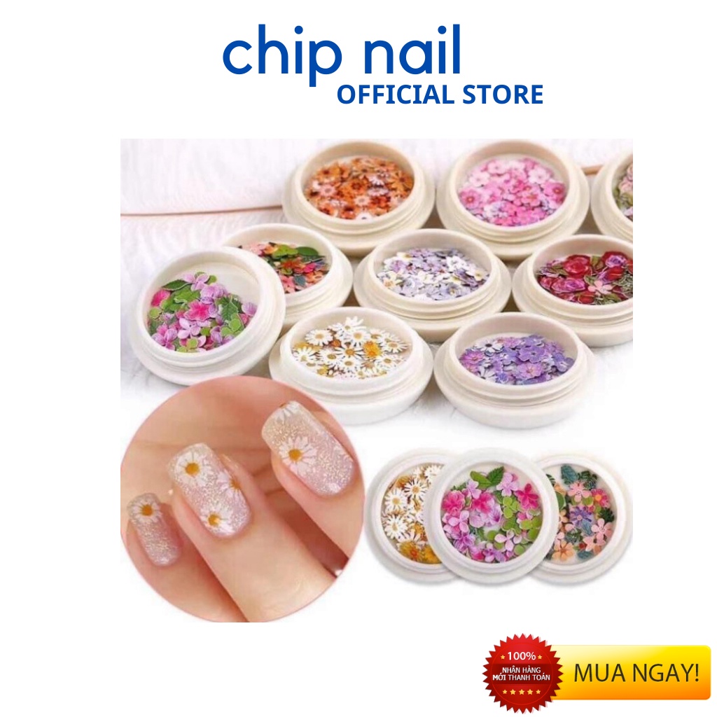 Phụ kiện Bướm, Hoa hàn quốc trang trí móng