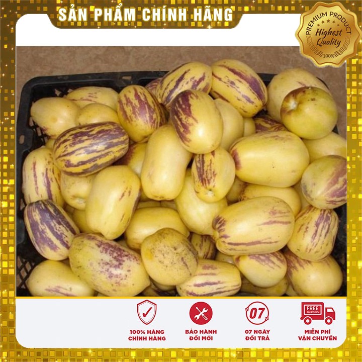 Hạt Giống Dưa Pepino Mỹ ( GÓI 4 HẠT F1 MỸ)