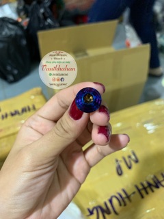 Ốc đuôi rùa ex