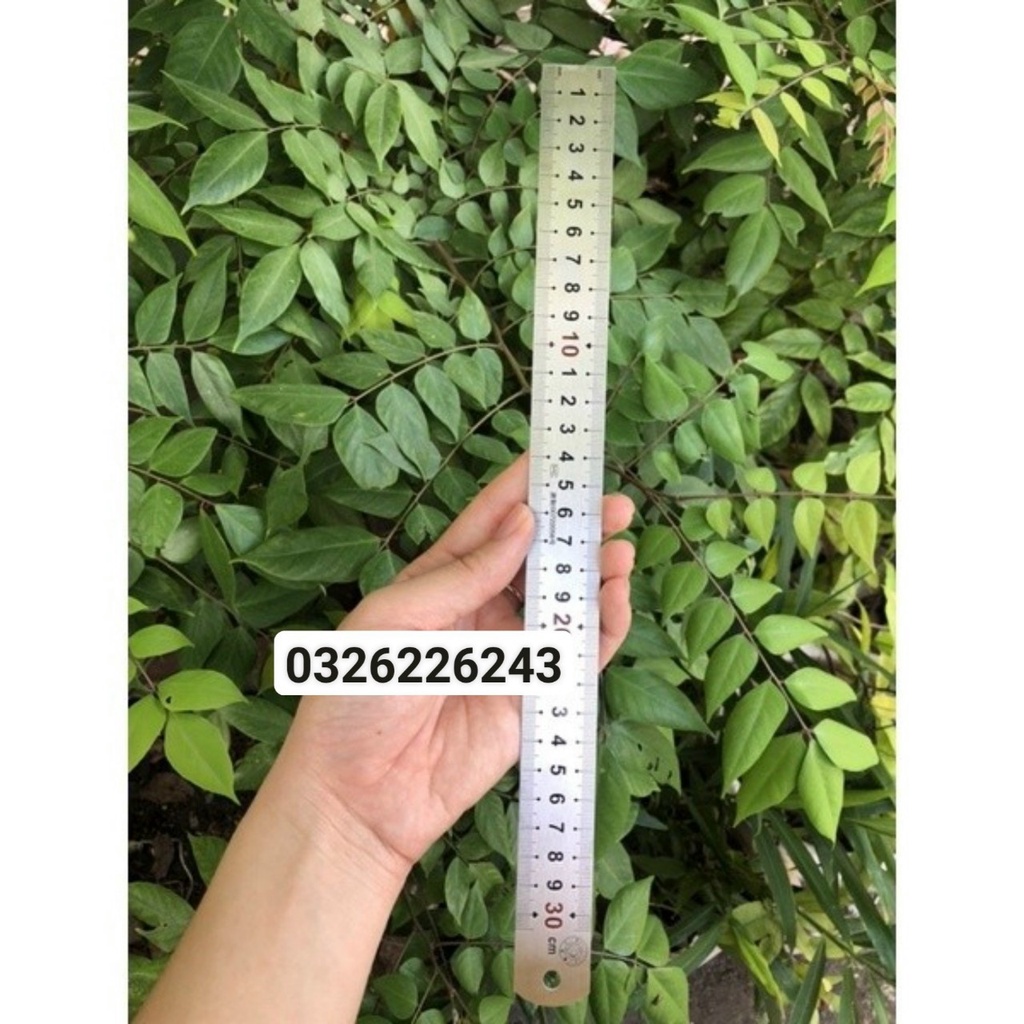 Thước Lá, Thước Thẳng [50CM, 60CM, 100CM]