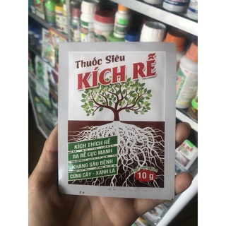 SIÊU KÍCH RỄ 🪴🪴