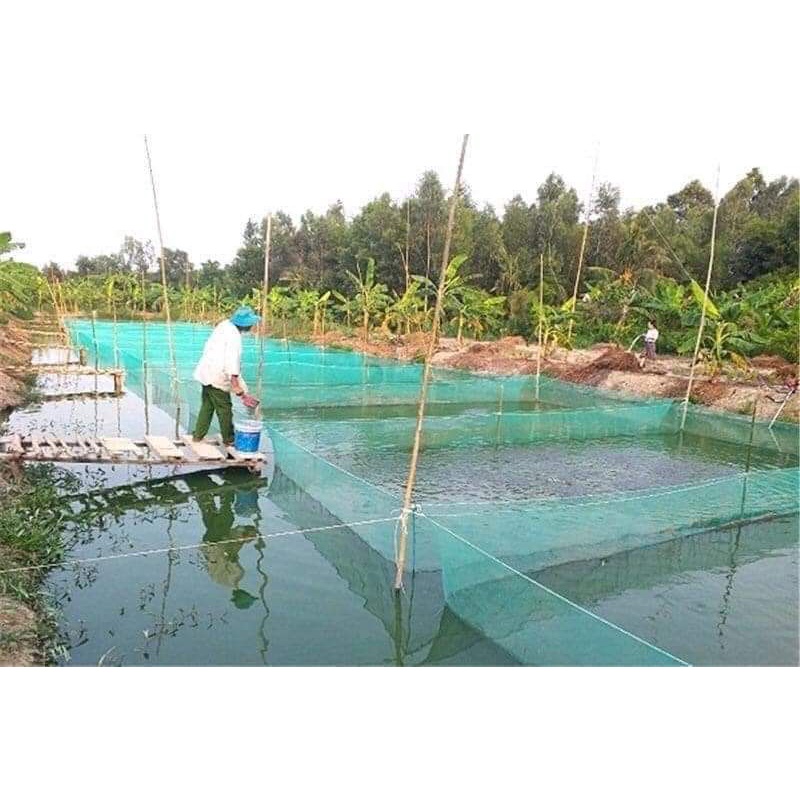 Tráng lồng vèo nuôi ếch 5x2x0,8v20