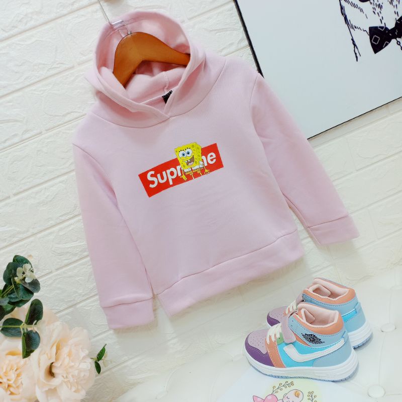 Áo nỉ bông (hoodie)