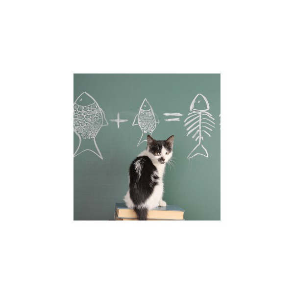 &quot;80g&quot;CÁ NGỪ TRẮNG &amp; CÁ CƠM ĐÓNG HỘP CHO MÈO bổ sung những vitamin và khoáng chất thiết yếu mà bữa ăn hằng ngày