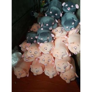 LỢN BÔNG ĐÁNG YÊU