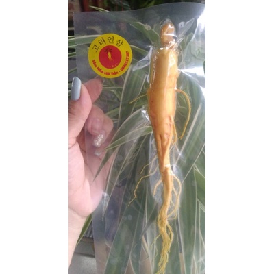 Nhân sâm Hàn Quốc,tách lẽ một củ sâm tươi  loại 1kg 25 củ