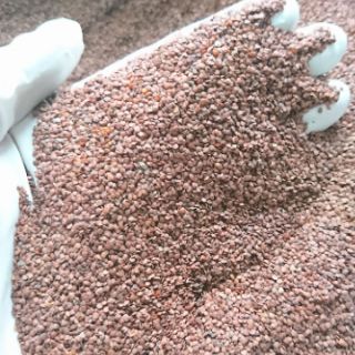 1kg Hạt Ngũ Hoa