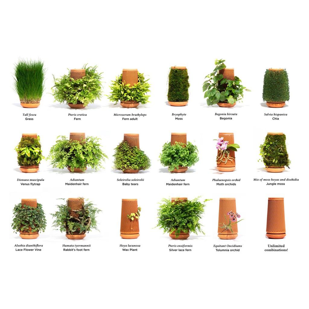 Trụ Gốm Trồng Cây Terraplanter