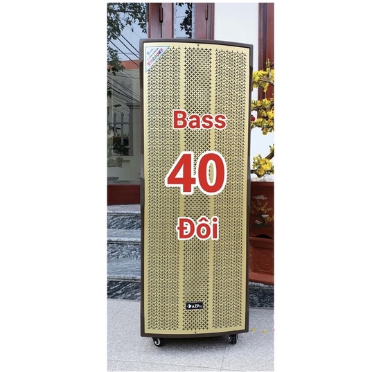 Loa Kéo Cao cấp AzPro AZ-215 Bass đôi 40-Âm thanh cực chất, Tặng kèm 2 Micro Kim loại UHF xịn