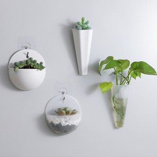 [SẴN] Chậu cây cảnh mini trang trí dán tường (có tặng kèm móc treo) | CHEZ NUTI
