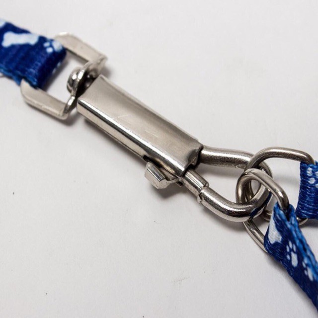 DÂY DẮT CHÓ MÈO NHỎ GIÁ RẺ