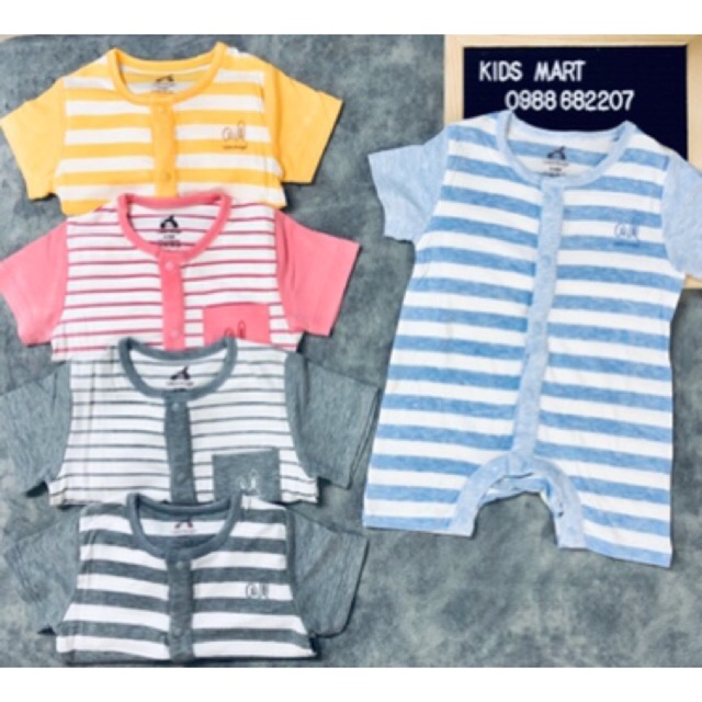 Uala rogo - body cộc kẻ